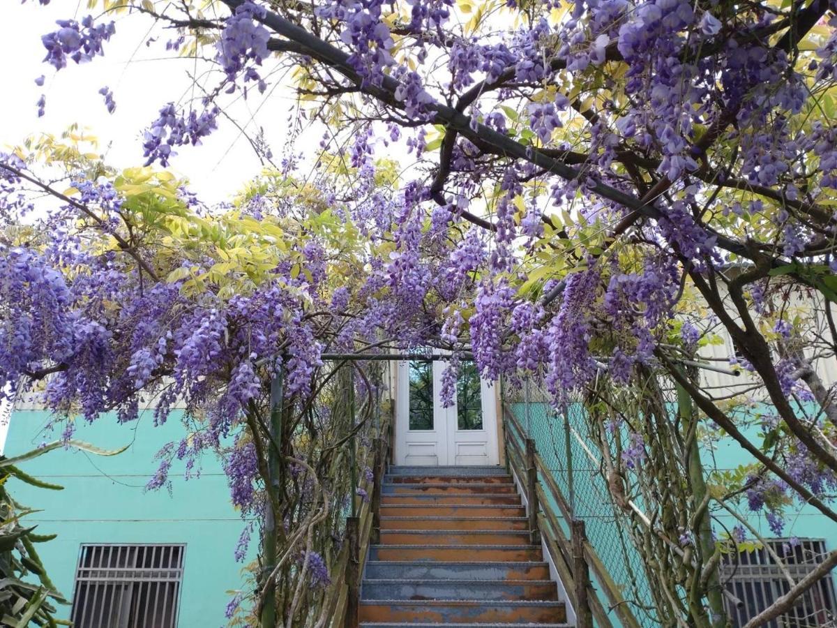 Youlin Homestay Meishan Екстериор снимка