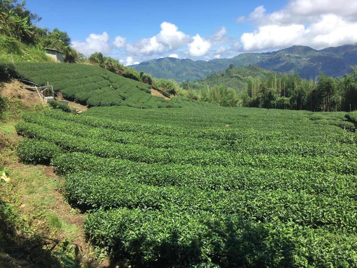 Youlin Homestay Meishan Екстериор снимка